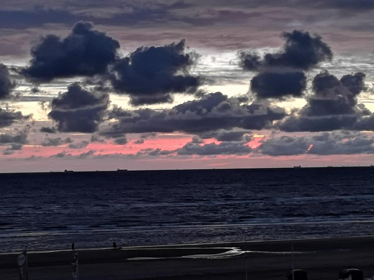 Beach Studio No Sea View Plus Parking Zandvoort Exterior foto