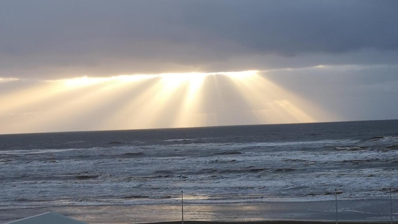 Beach Studio No Sea View Plus Parking Zandvoort Exterior foto